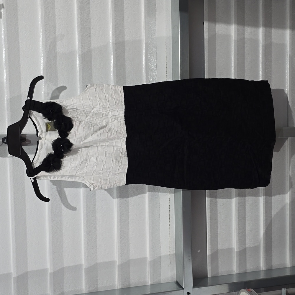 Taylor Semi-formal Dress Black and White Size 10 Floral Neck Design